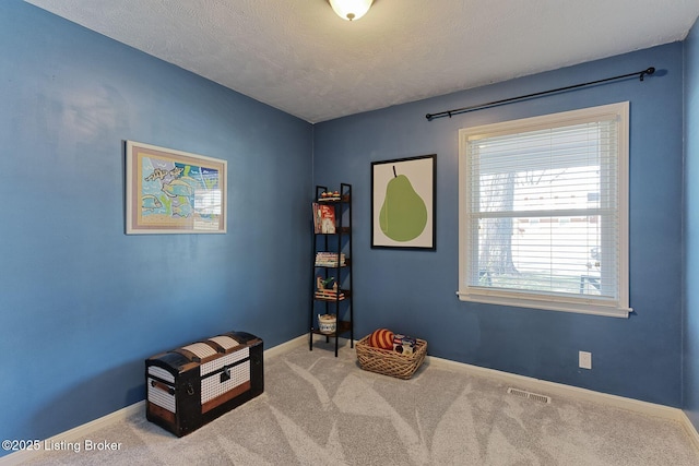 interior space featuring carpet and a textured ceiling