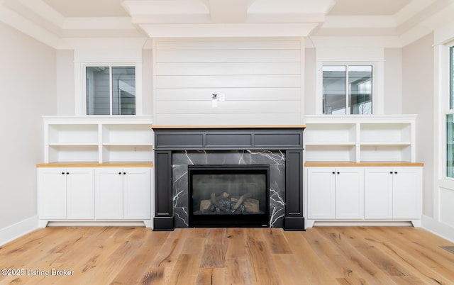 details with hardwood / wood-style floors and a premium fireplace