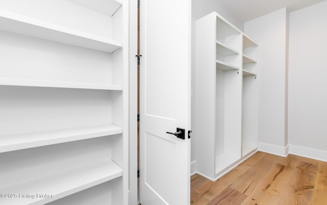 spacious closet featuring light wood-type flooring