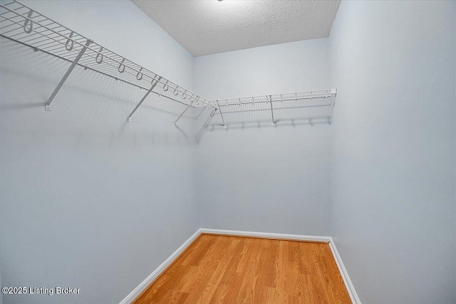 walk in closet with hardwood / wood-style floors