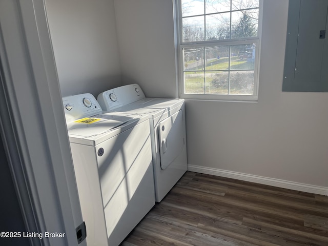 clothes washing area with dark hardwood / wood-style floors, electric panel, and washing machine and clothes dryer