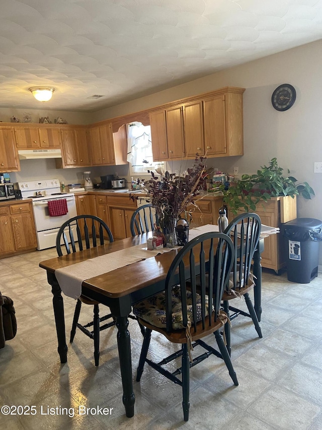 dining area with sink