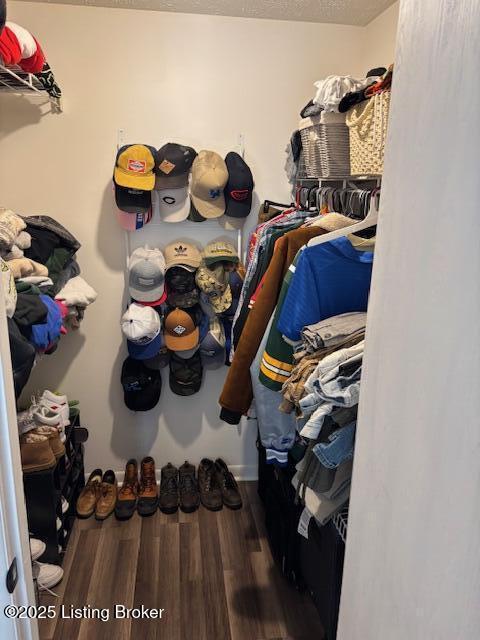 spacious closet with dark hardwood / wood-style flooring