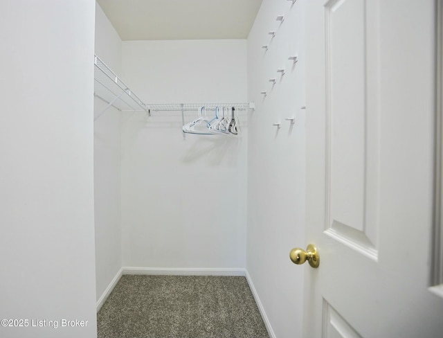 spacious closet with dark colored carpet