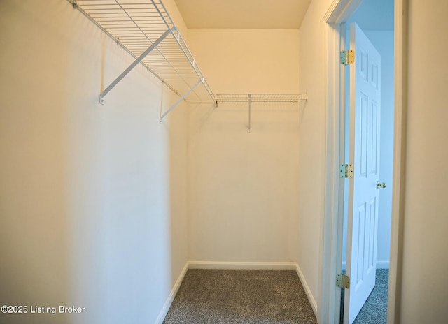 walk in closet with carpet