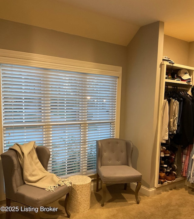 living area with carpet and lofted ceiling