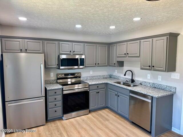 kitchen with sink, gray cabinets, a textured ceiling, appliances with stainless steel finishes, and light hardwood / wood-style floors