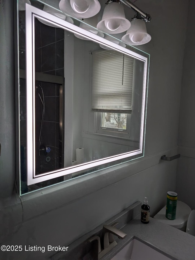 interior details featuring toilet