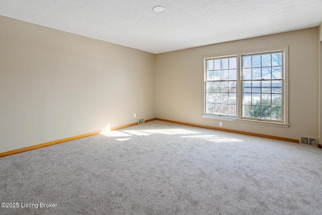 spare room featuring a textured ceiling and carpet flooring