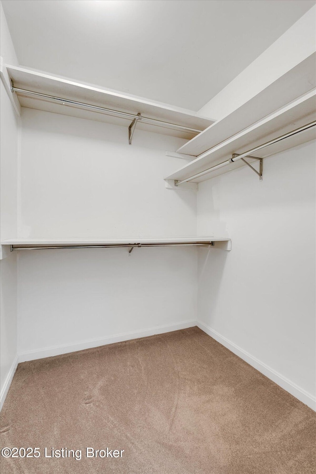 spacious closet with carpet flooring