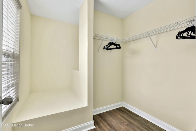 spacious closet with dark hardwood / wood-style flooring