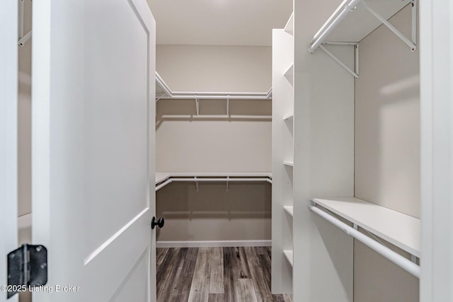 walk in closet with dark hardwood / wood-style flooring