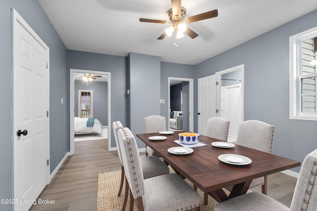 dining space with light wood-type flooring and ceiling fan