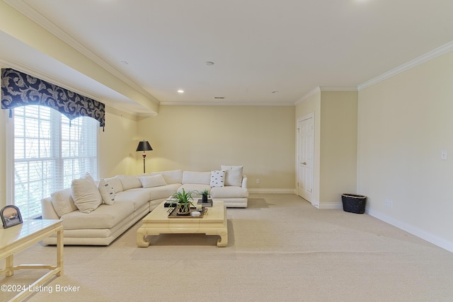 carpeted living room featuring crown molding