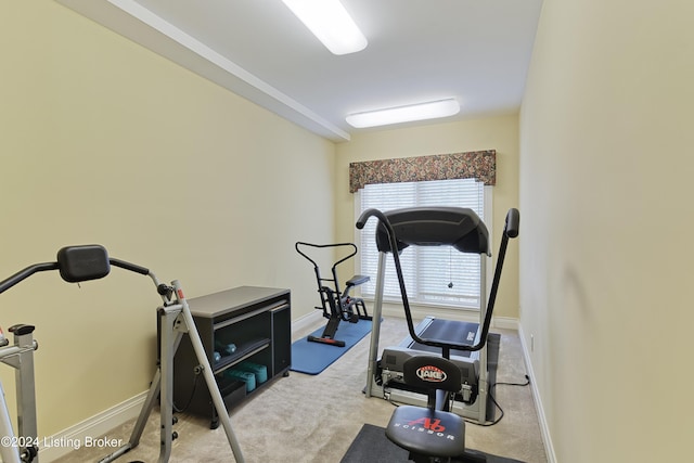 exercise room featuring light colored carpet