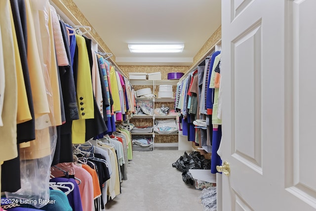 walk in closet with light carpet