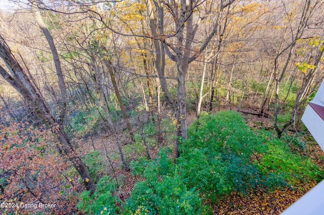 view of local wilderness