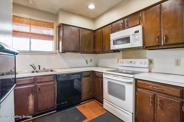 kitchen featuring light hardwood / wood-style floors, dark brown cabinetry, white appliances, and sink