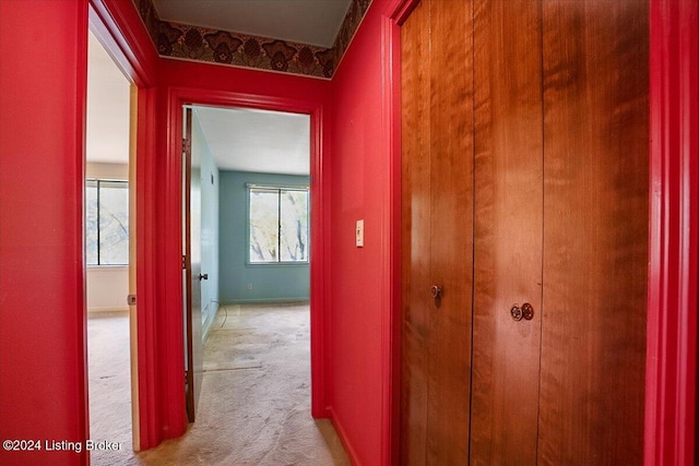 hallway with plenty of natural light and light colored carpet