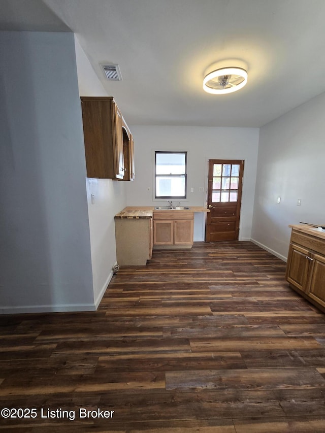 kitchen with dark hardwood / wood-style floors and sink