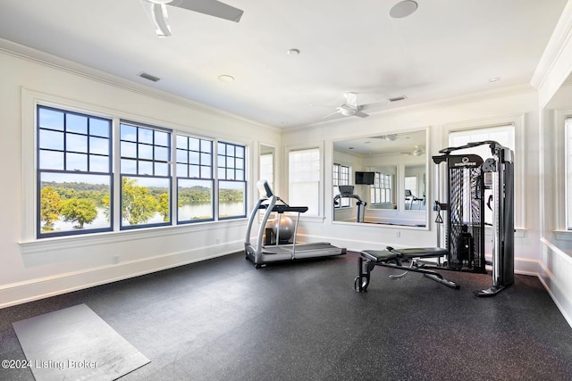 workout room featuring ceiling fan and crown molding