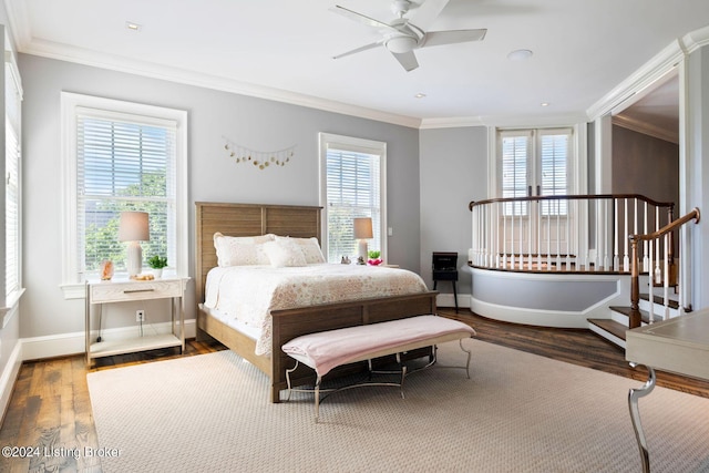 bedroom featuring multiple windows, crown molding, ceiling fan, and dark wood-type flooring