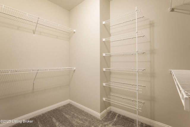 walk in closet with carpet