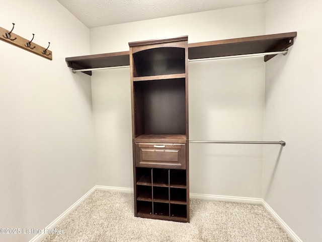 walk in closet featuring carpet flooring