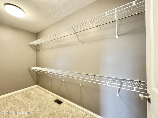 spacious closet featuring carpet flooring