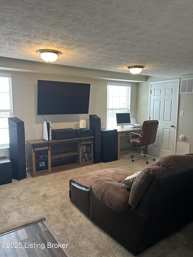 carpeted living room with a healthy amount of sunlight and a textured ceiling