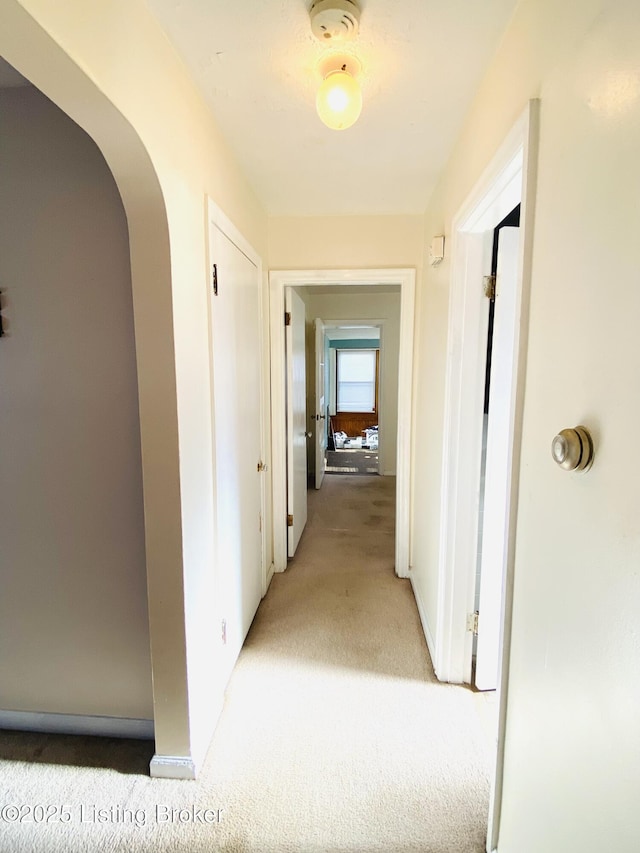 corridor featuring carpet floors