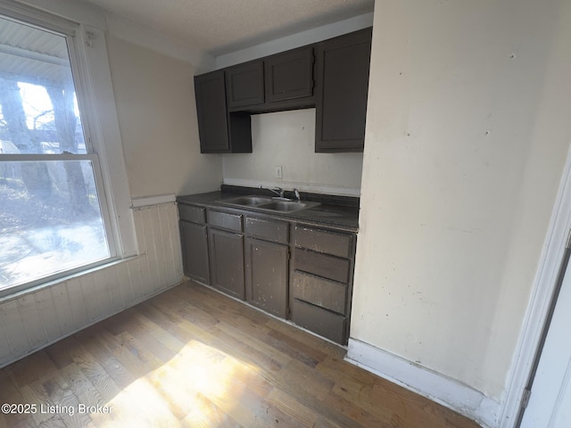 kitchen with sink and light wood-type flooring