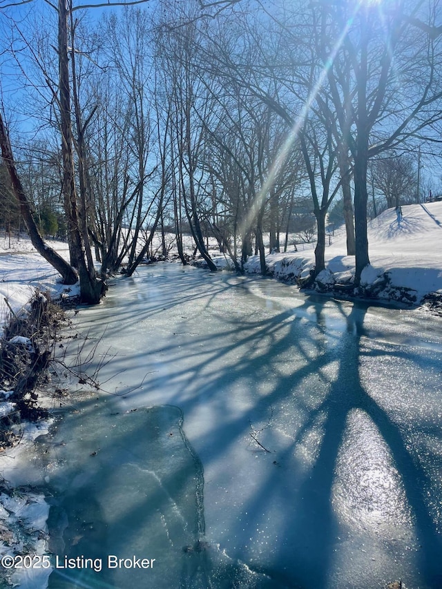 view of yard layered in snow