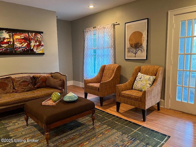 living area featuring wood-type flooring