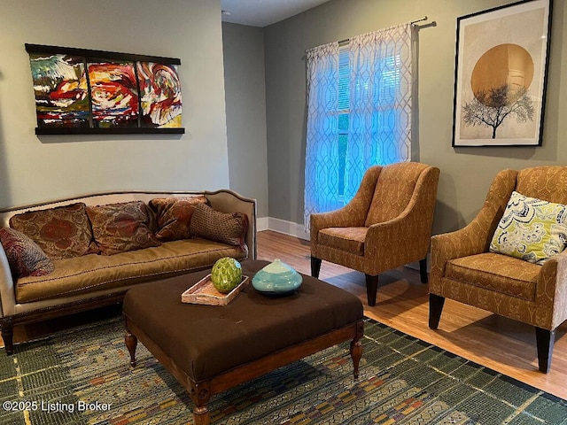 living room with wood-type flooring