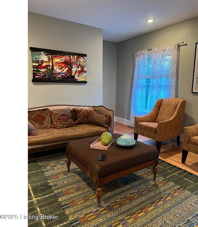 living room featuring wood-type flooring