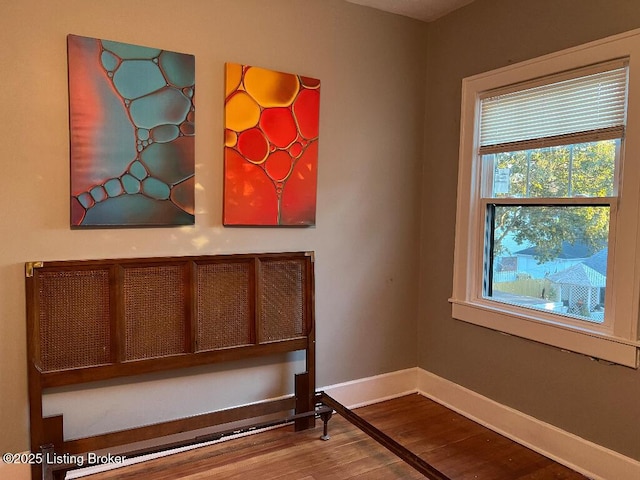 interior space with hardwood / wood-style floors