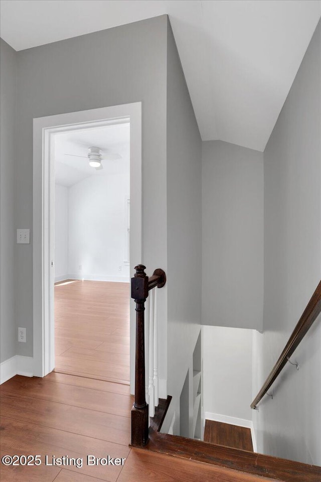 stairs with hardwood / wood-style flooring