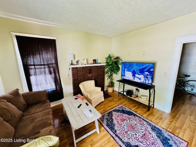 living room featuring a fireplace and hardwood / wood-style floors