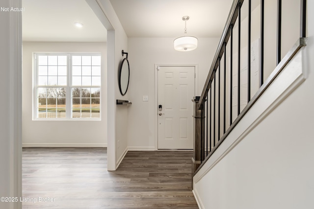 foyer entrance with dark hardwood / wood-style flooring