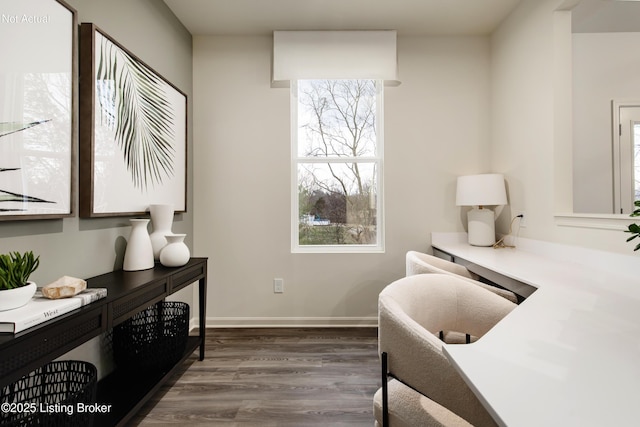 office space featuring dark wood-type flooring