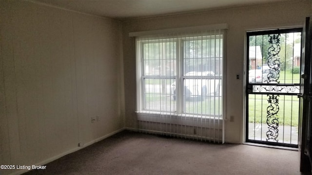 interior space featuring carpet and a wealth of natural light