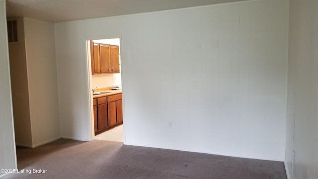 spare room featuring light carpet and sink