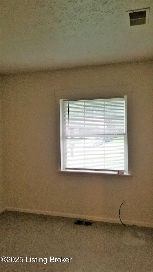 spare room with a healthy amount of sunlight and carpet flooring