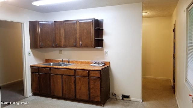 kitchen with sink and dark brown cabinets