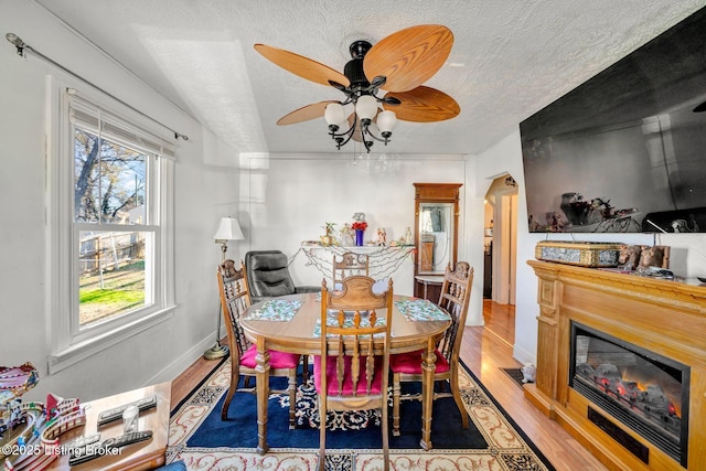 dining room featuring ceiling fan, light hardwood / wood-style floors, and a textured ceiling