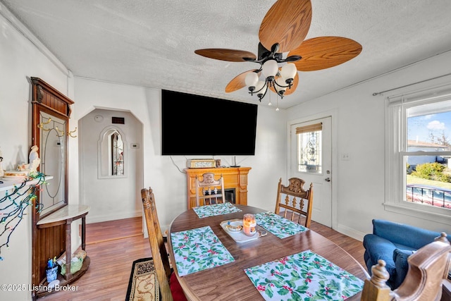 dining room with ceiling fan, light hardwood / wood-style floors, and a textured ceiling