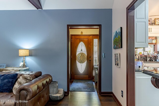 entrance foyer featuring dark hardwood / wood-style flooring