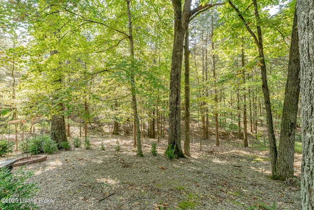 view of local wilderness