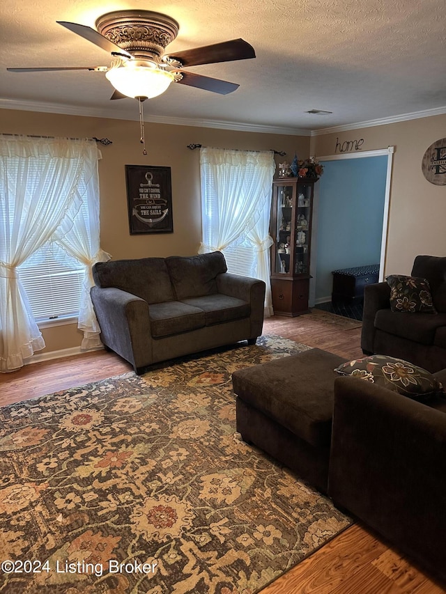 living room with plenty of natural light, wood-type flooring, a textured ceiling, and ornamental molding